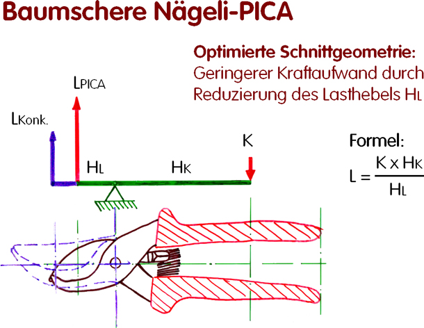 Schnittgeometrie